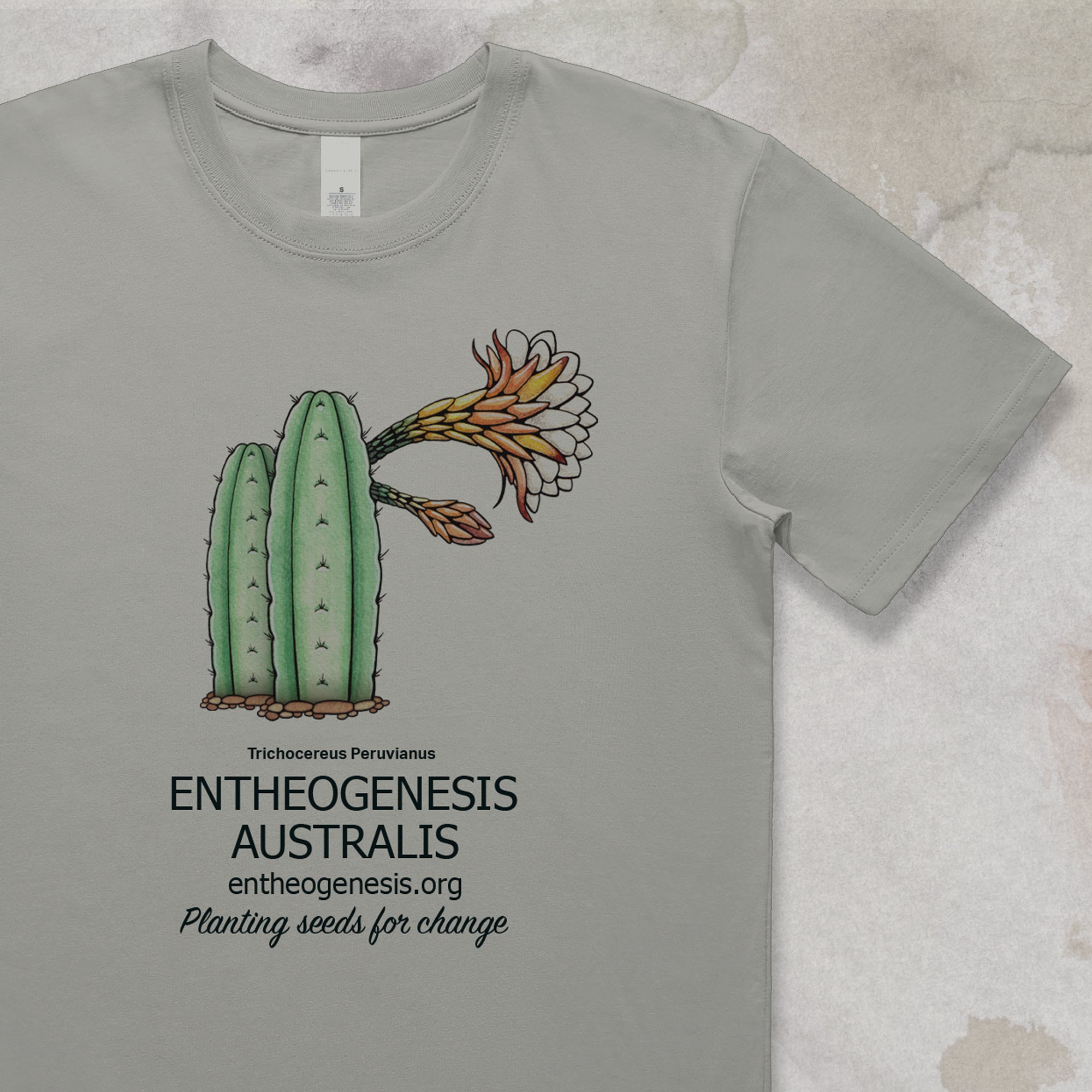 EGA - Trichocereus Peruvianus